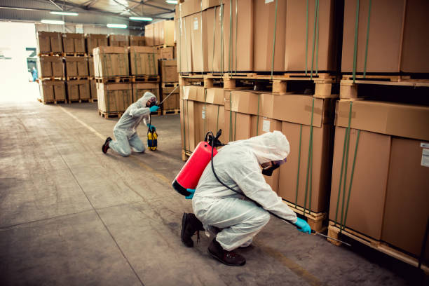 Wasp Removal Services in Keshena, WI