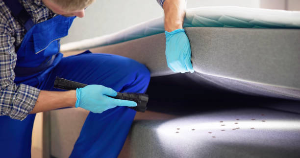 Best Ant Control Services  in Keshena, WI