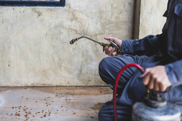 Best Pest Inspection Near Me  in Keshena, WI